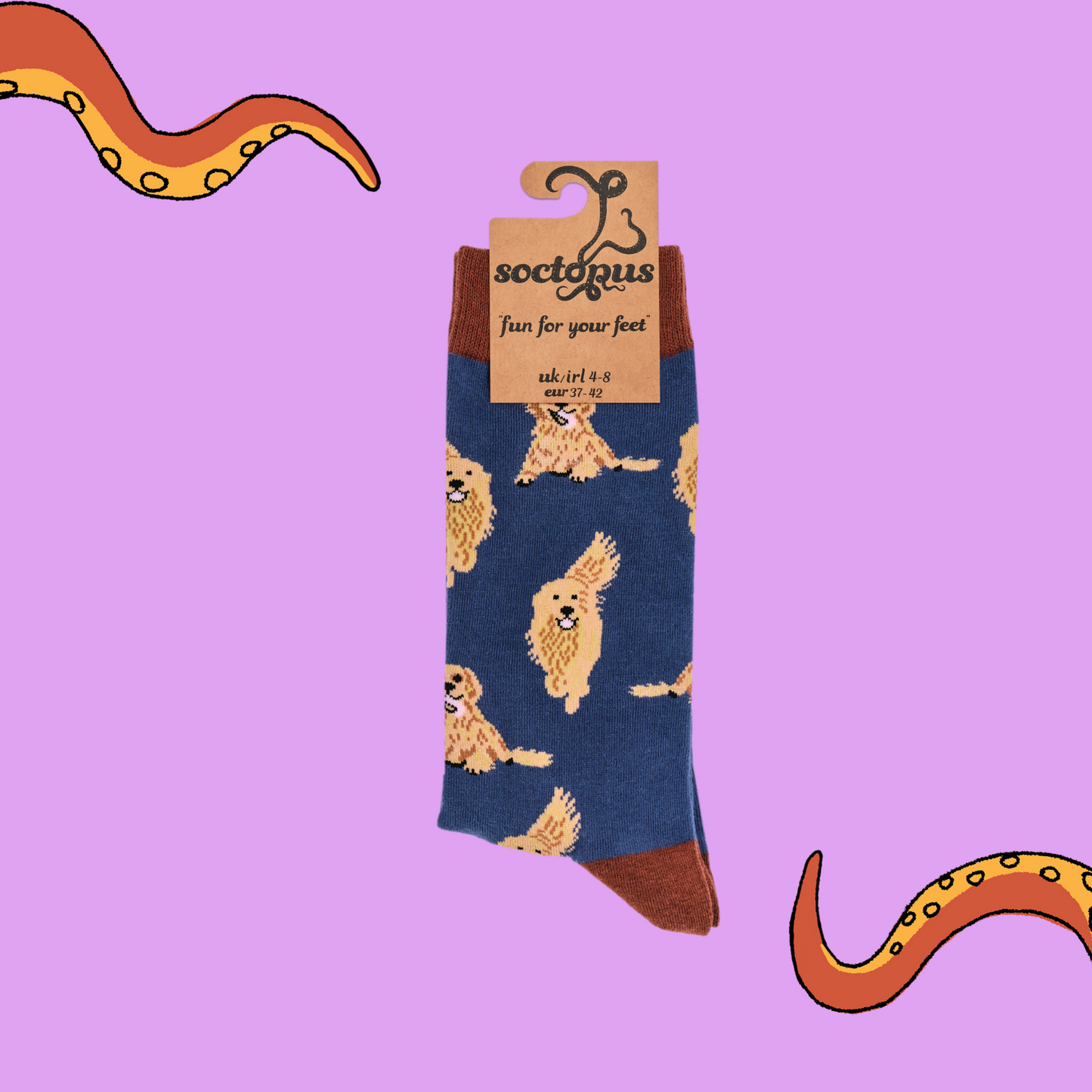 
                  
                    A pair of socks depicting golden retrievers. Blue legs, brown cuff, heel and toe. In Soctopus Packaging. 
                  
                