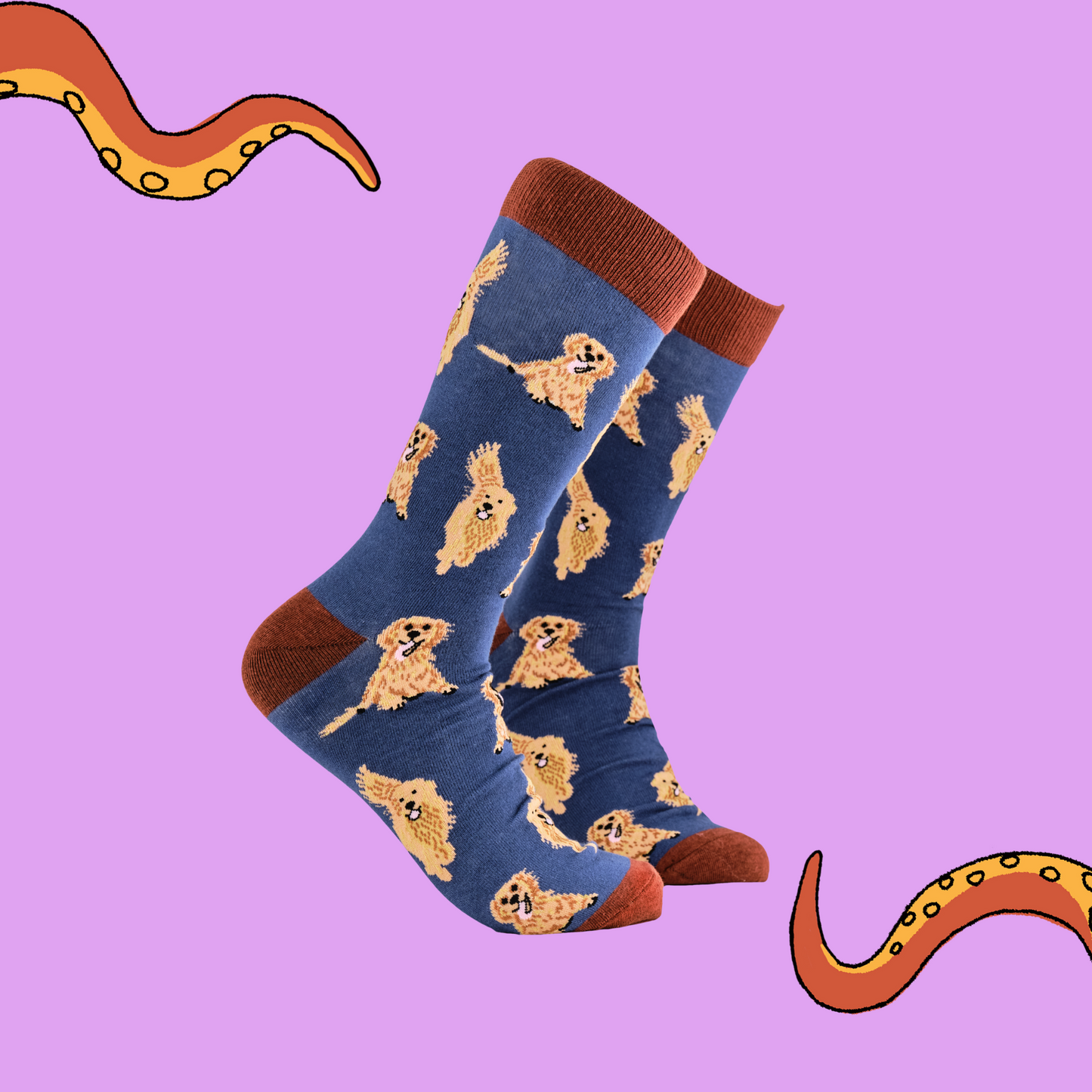 A pair of socks depicting golden retrievers. Blue legs, brown cuff, heel and toe.
