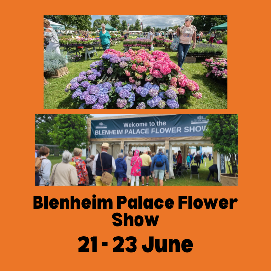 Blenheim Palace Flower Show