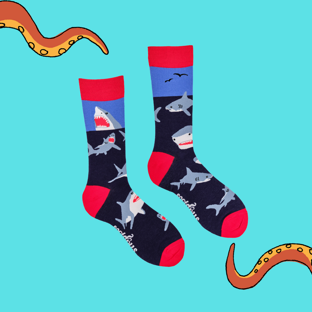 
                  
                    A pair of socks depicting great white sharks. Blue legs, red cuff, heel and toe.
                  
                