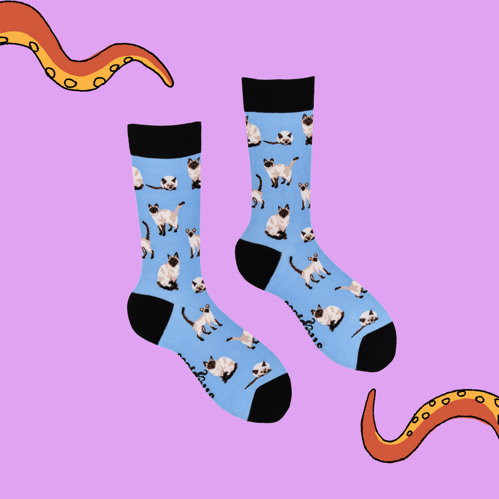 
                  
                    Siamese Cat Socks. A pair of socks depicting siamese cats. Blue legs, black cuff, heel and toe.
                  
                