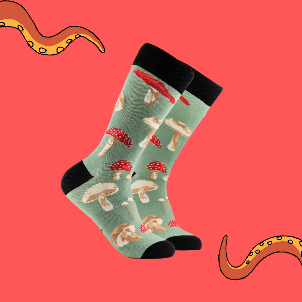 A pair of socks depicting different species of mushroom. Green legs, black cuff, heel and toe.