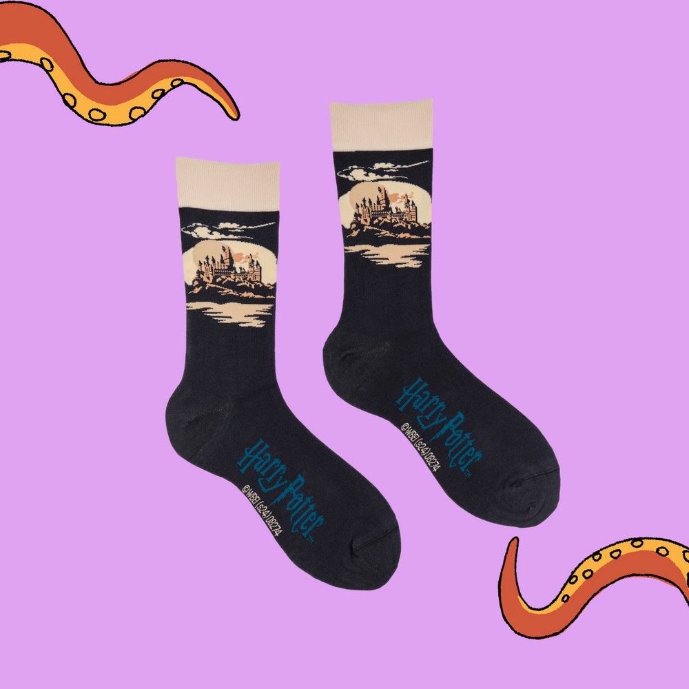 
                  
                    A pair of socks depicting Hogwarts Castle. Grey legs, cream cuff, grey heel and toe.
                  
                