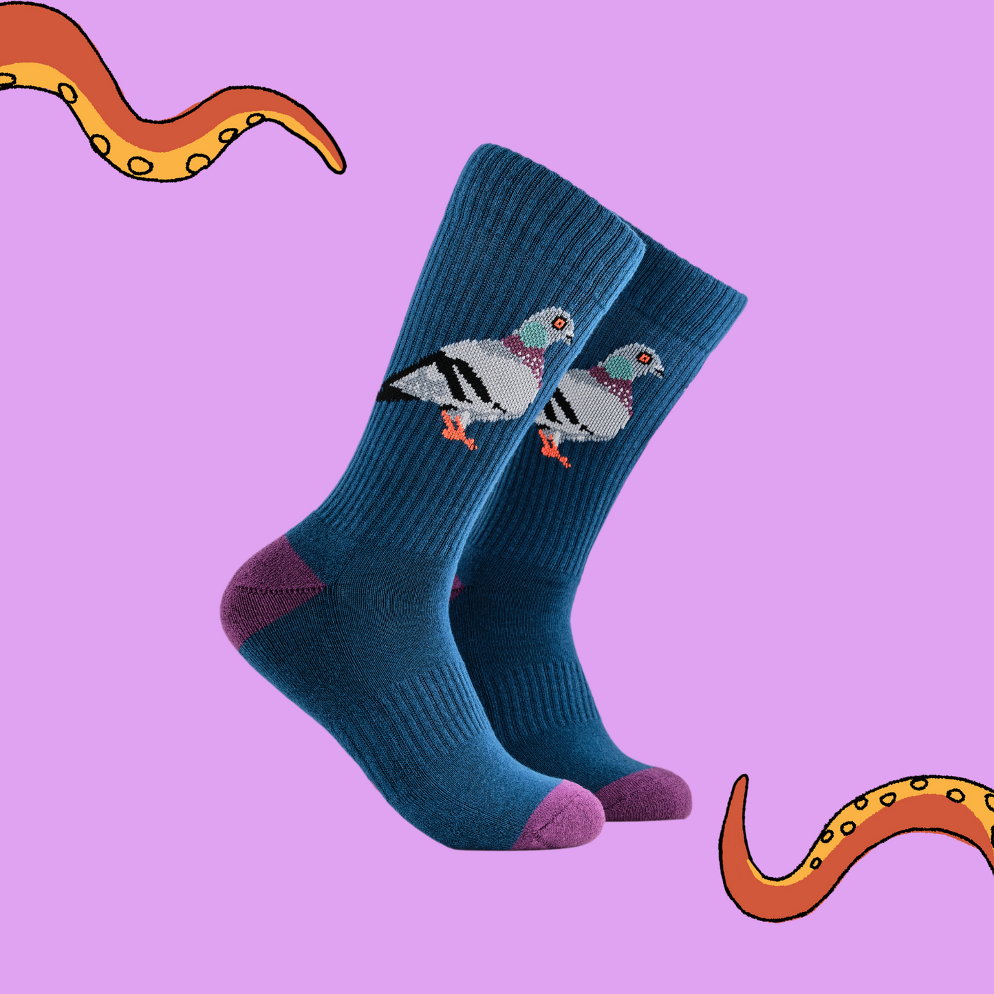 A pair of socks depicting pigeons. Deep blue legs, blue cuff, purple heel and toe.