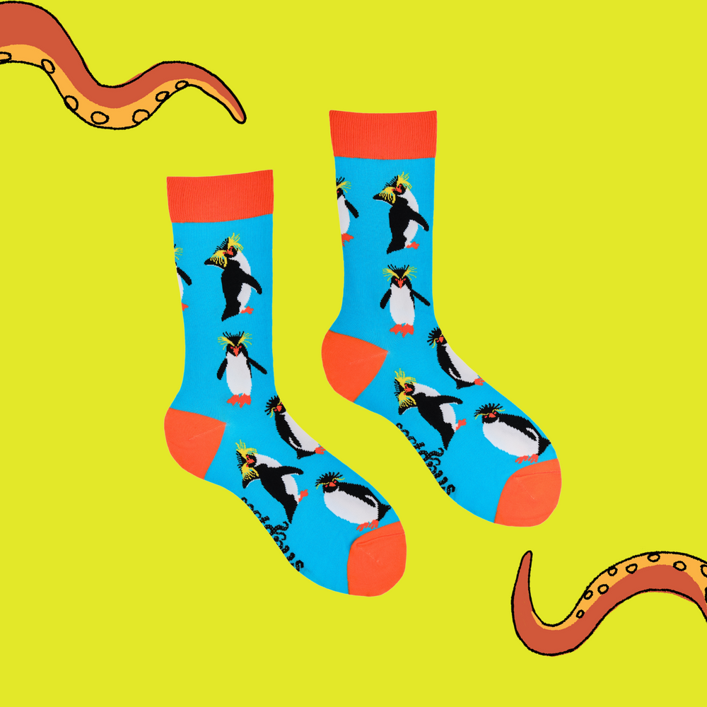 
                  
                    A pair of socks depicting rock hopper penguins. Bright legs, orange cuff, heel and toe.
                  
                