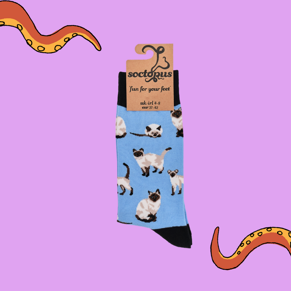 
                  
                    Siamese Cat Socks. A pair of socks depicting siamese cats. Blue legs, black cuff, heel and toe. In Soctopus Packaging.
                  
                