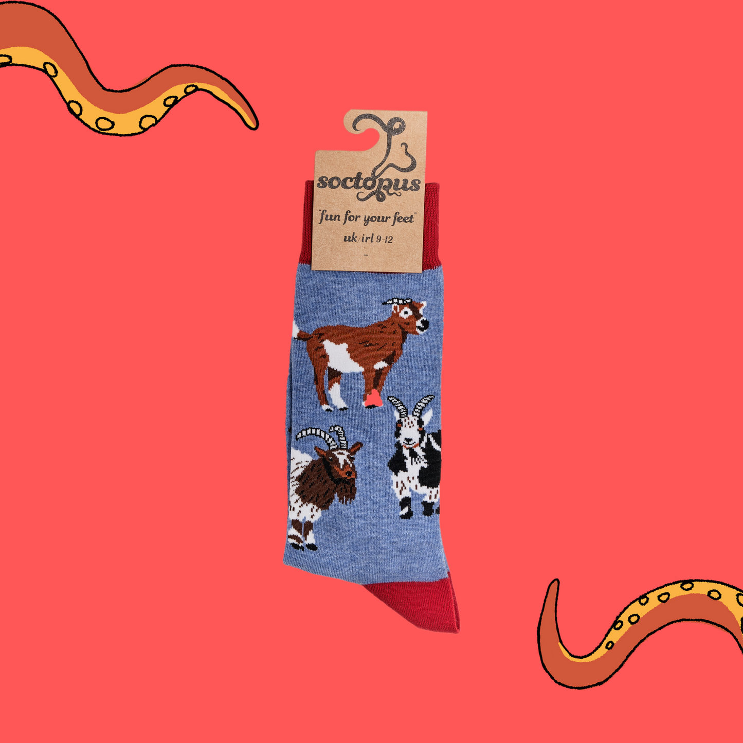 
                  
                    A pair of socks depicting different breeds of goat. Blue legs, red cuff, heel and toe. In Soctopus Packaging.
                  
                