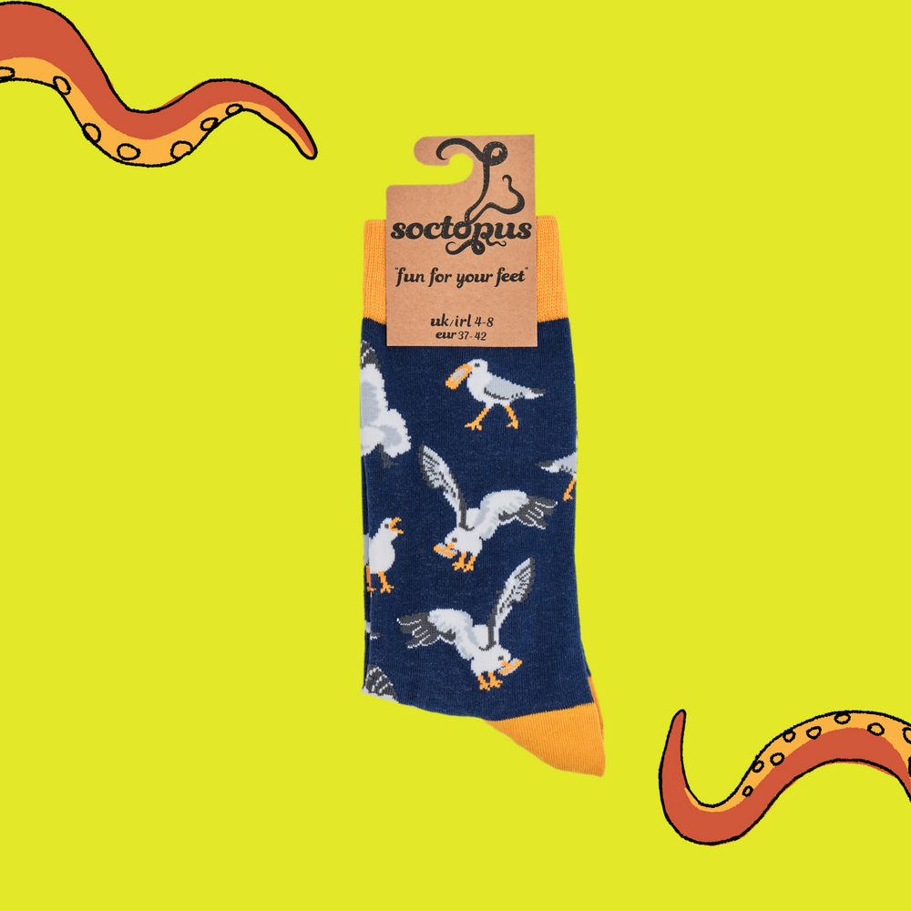 
                  
                    A pair of socks depicting seagulls eating chips. Blue legs, yellow cuff, heel and toe. In Soctopus Packaging.
                  
                