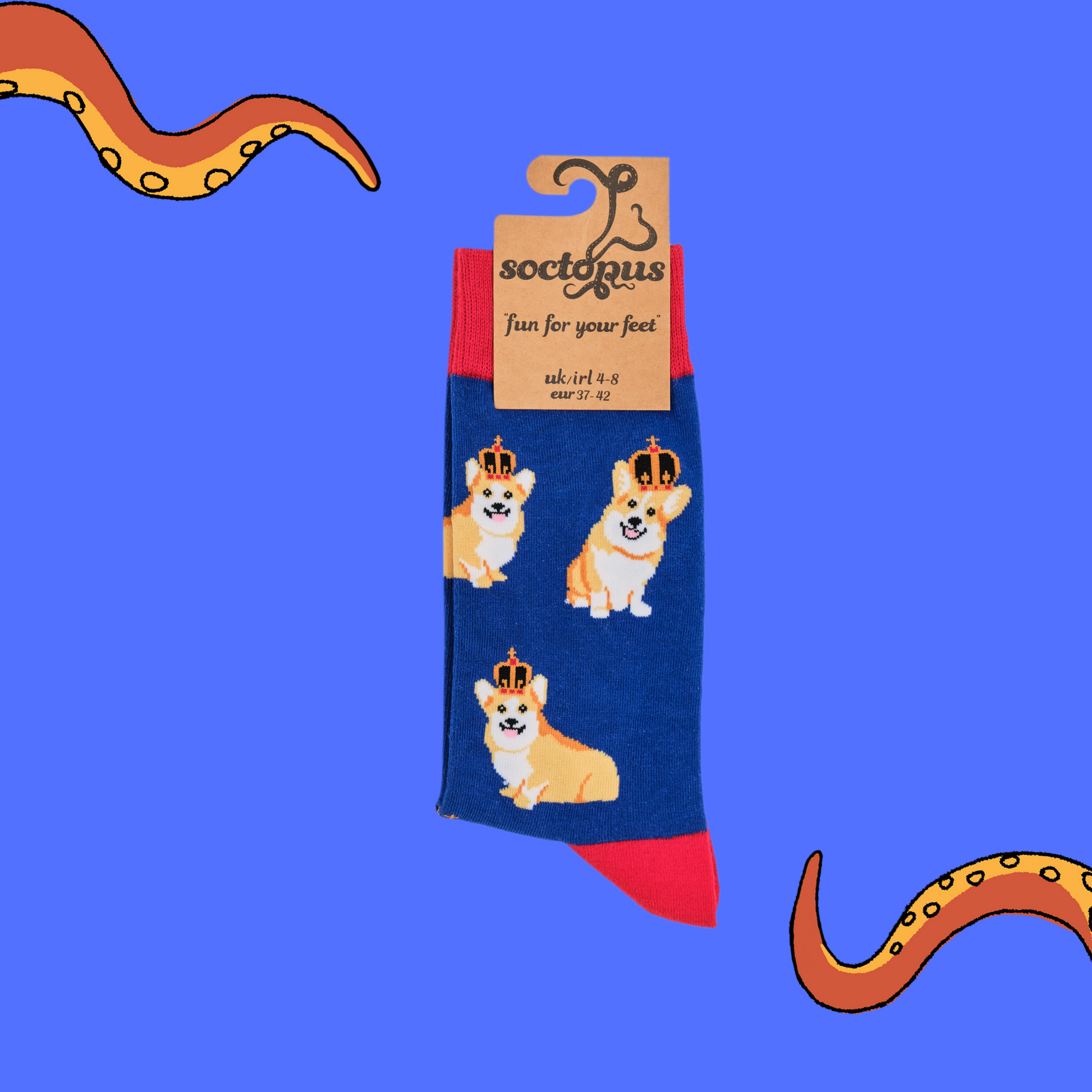A pair of socks depicting corgis wearing crowns. Blue legs, red cuff, heel and toe. In Soctopus Packaging.