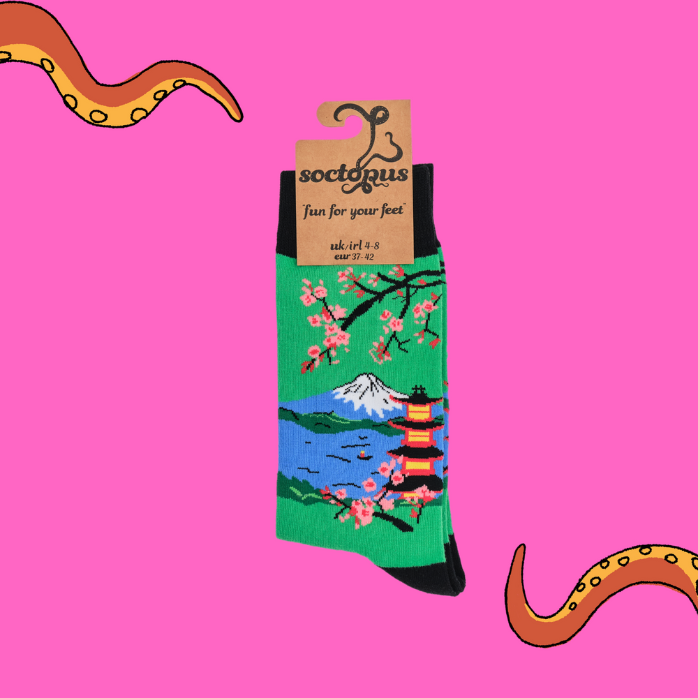 
                  
                    A pair of socks depicting mount fuji and cherry blossom. Green legs, black cuff, heel and toe. In Soctopus Packaging.
                  
                