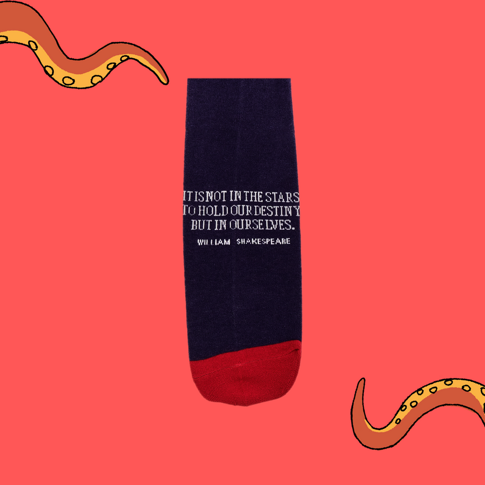 
                  
                    A pair of socks depicting William Shakespeare. Purple legs, red cuff, heel and toe.
                  
                