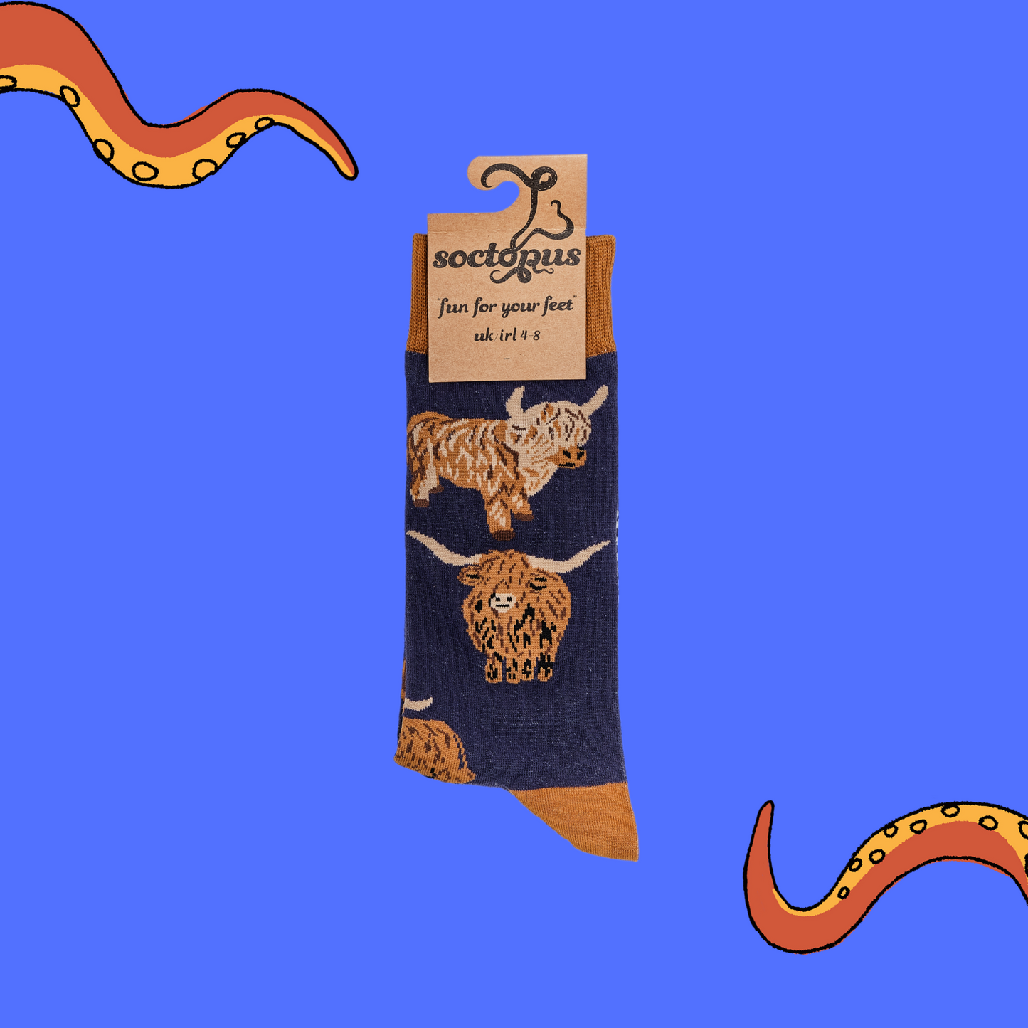 
                  
                    A pair of socks depicting highland cows. Blue legs, brown cuff, heel and toe. In Soctopus Packaging.
                  
                