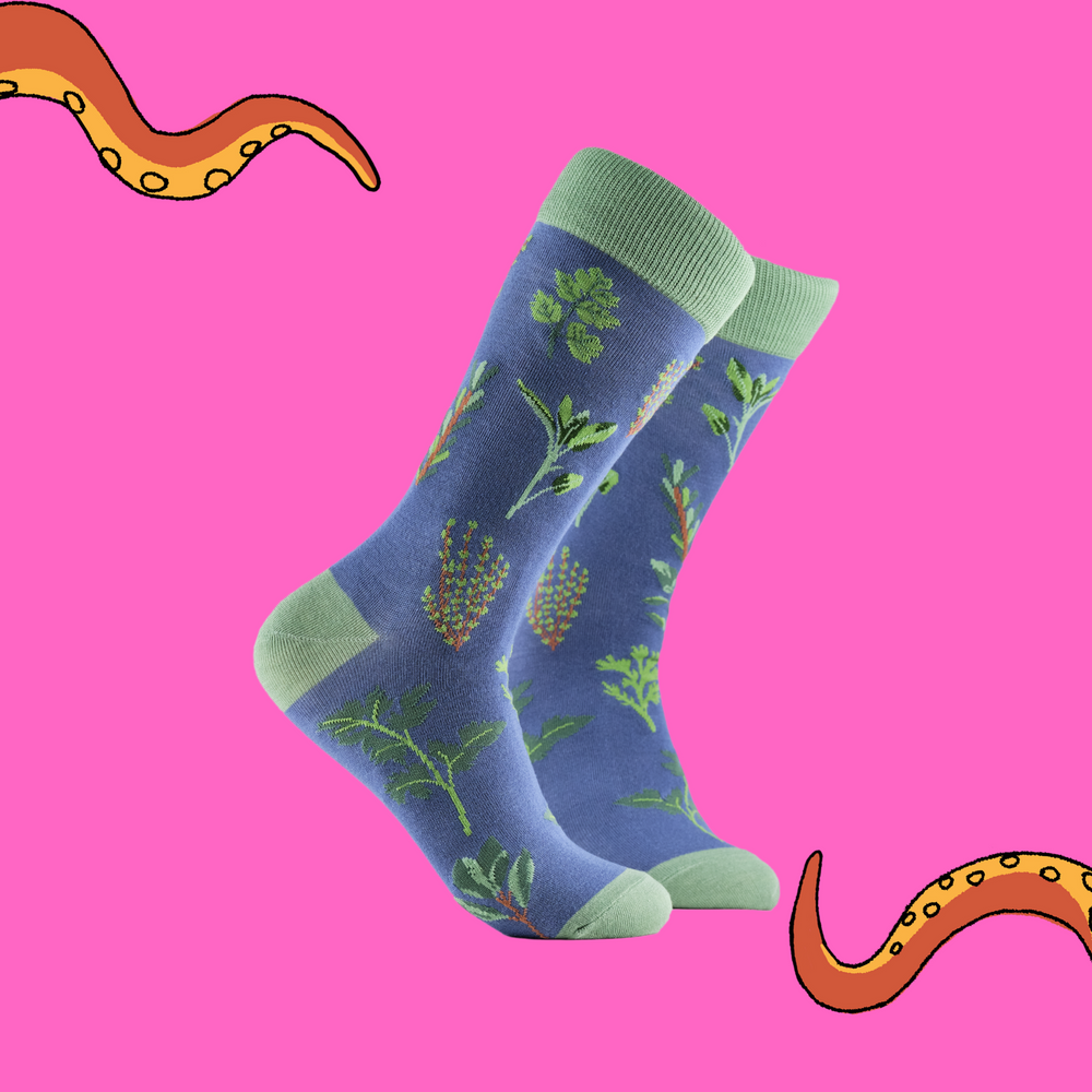 A pair of socks depicting tea cups and tea pots. Blue legs, green cuff, heel and toe.