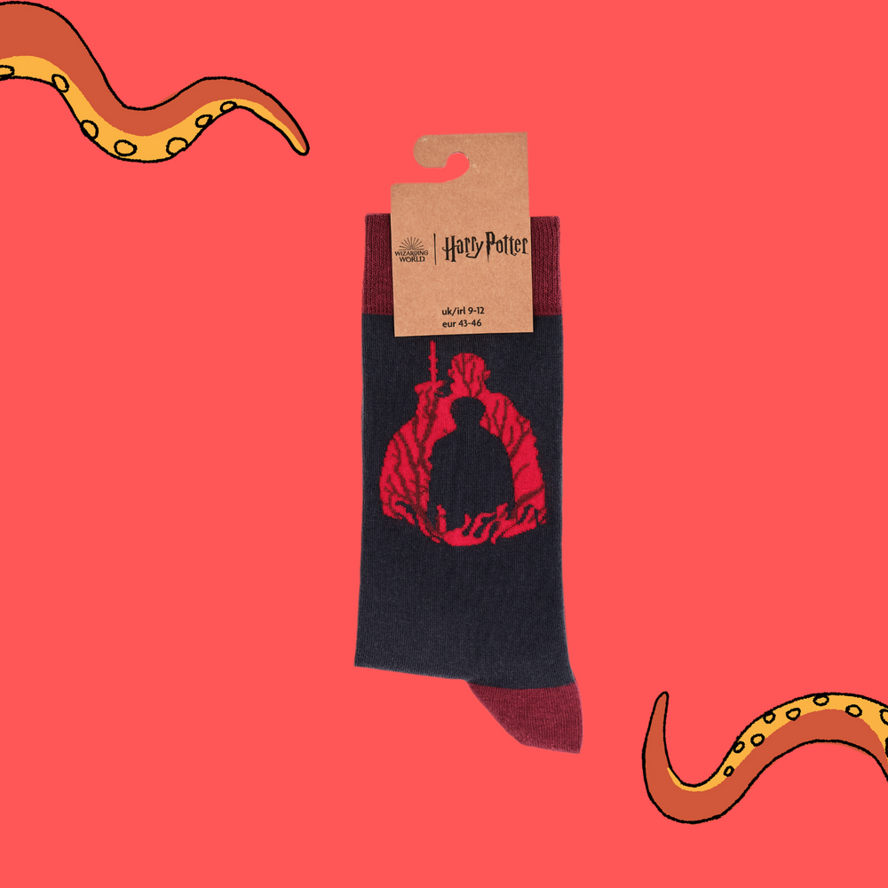 
                  
                    A pair of socks depicting scenes from Harry Potter. Grey legs, red cuff, heel and toe. In Soctopus Packaging.
                  
                