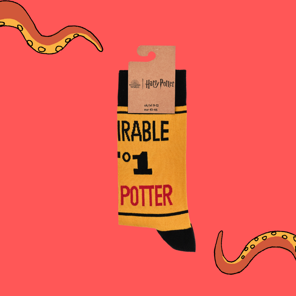 
                  
                    A pair of socks depicting Harry Potter Undesirable No.1. Yellow legs, black cuff, heel and toe. In Soctopus Packaging.
                  
                