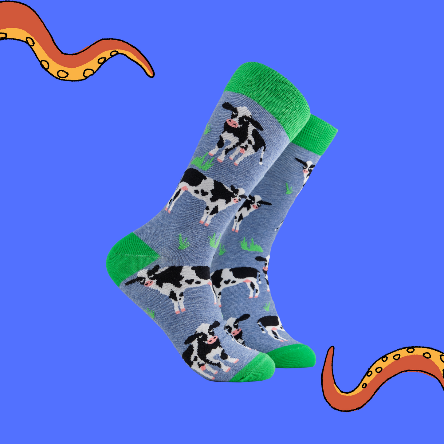 A pair of socks depicting grass and cows. Blue legs, green cuff, heel and toe.