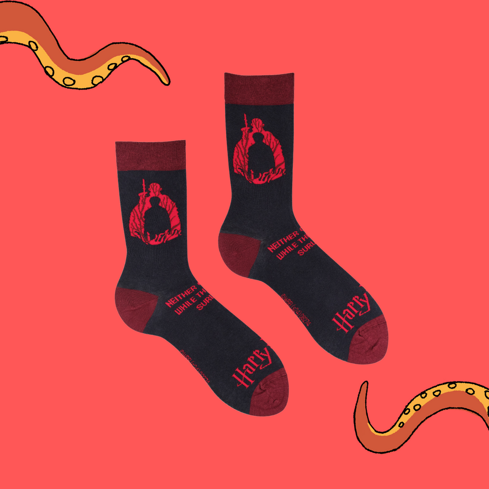 
                  
                    A pair of socks depicting scenes from Harry Potter. Grey legs, red cuff, heel and toe.
                  
                