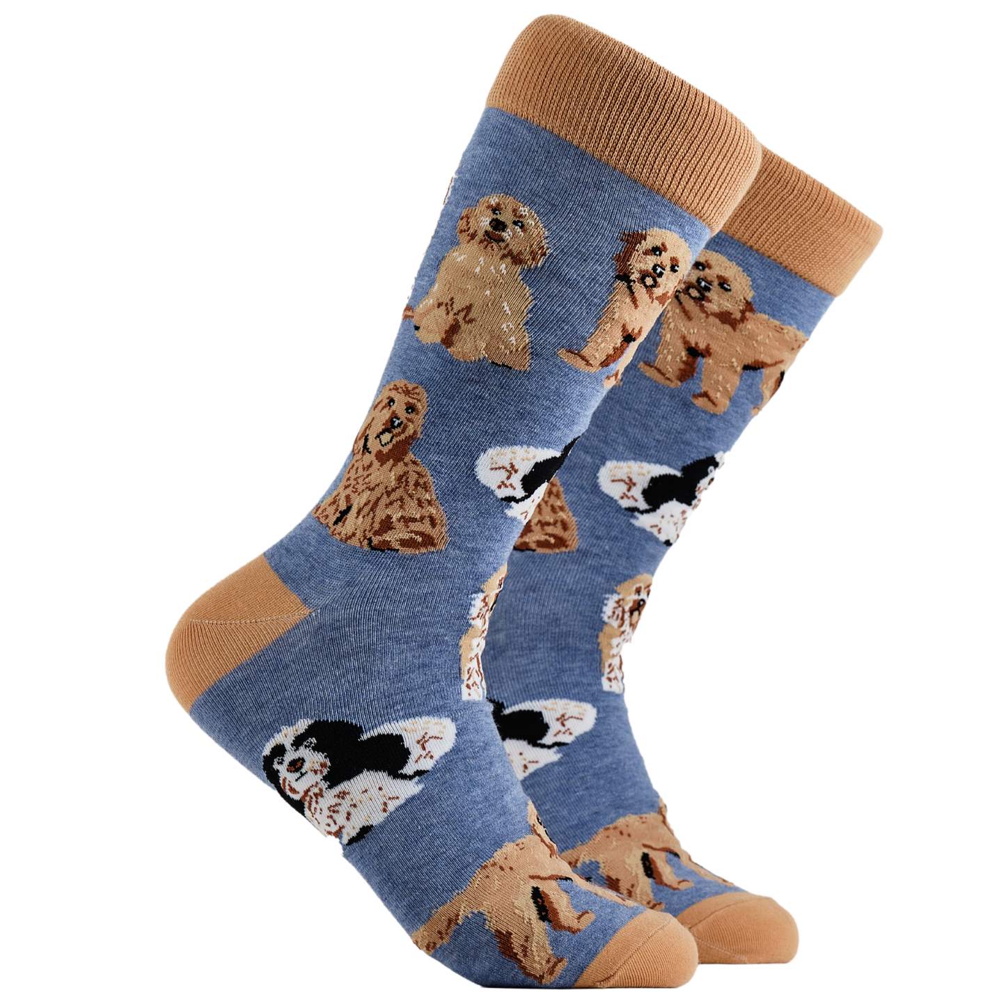 Cockapoo Socks - Cockapoodle-Doo. A pair of socks depicting cockapoo dogs. Blue legs, brown cuff, heel and toe.