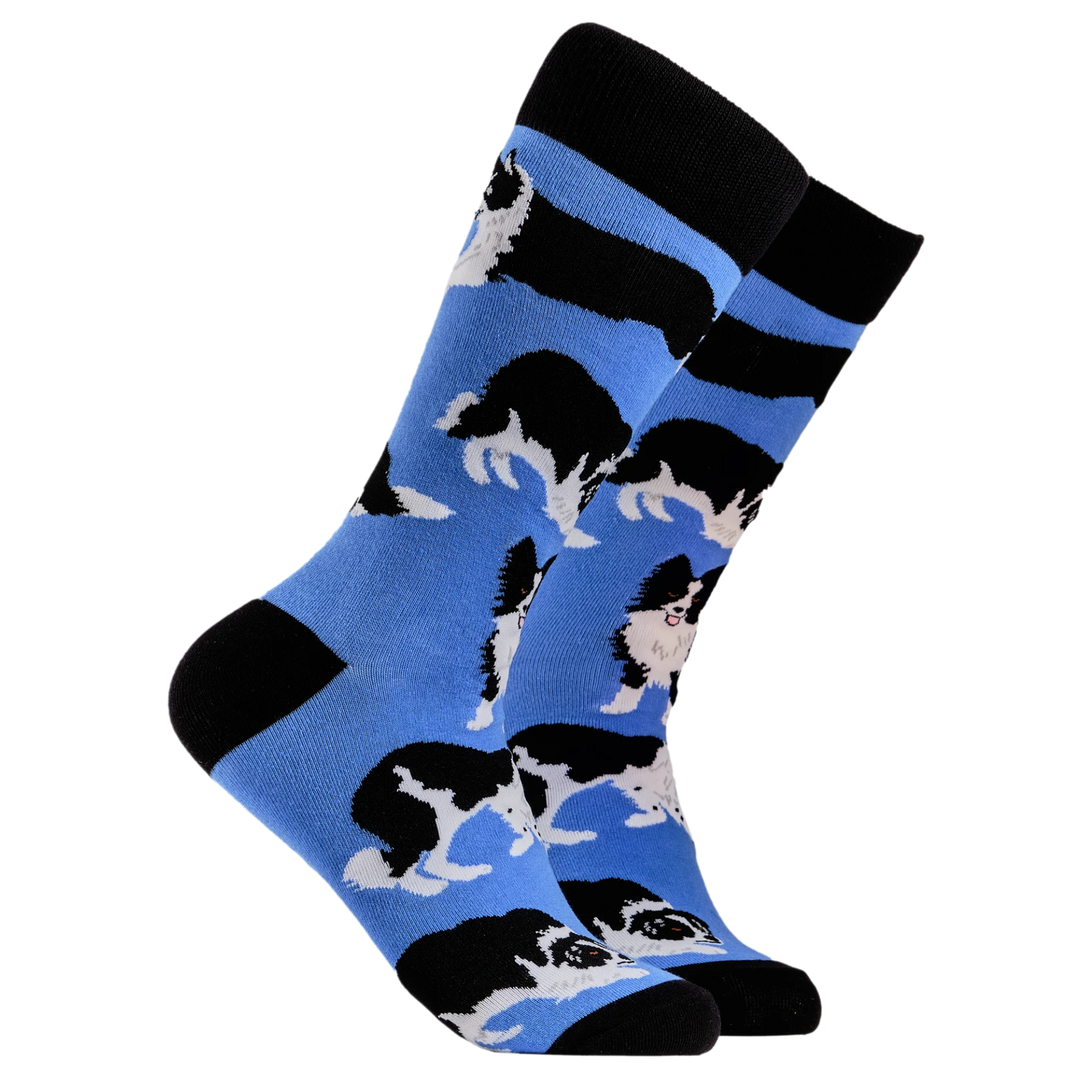 Border Collie Dog Socks - Collies. A pair of socks depicting Border collie dogs. Deep Blue legs, black cuff, heel and toe.