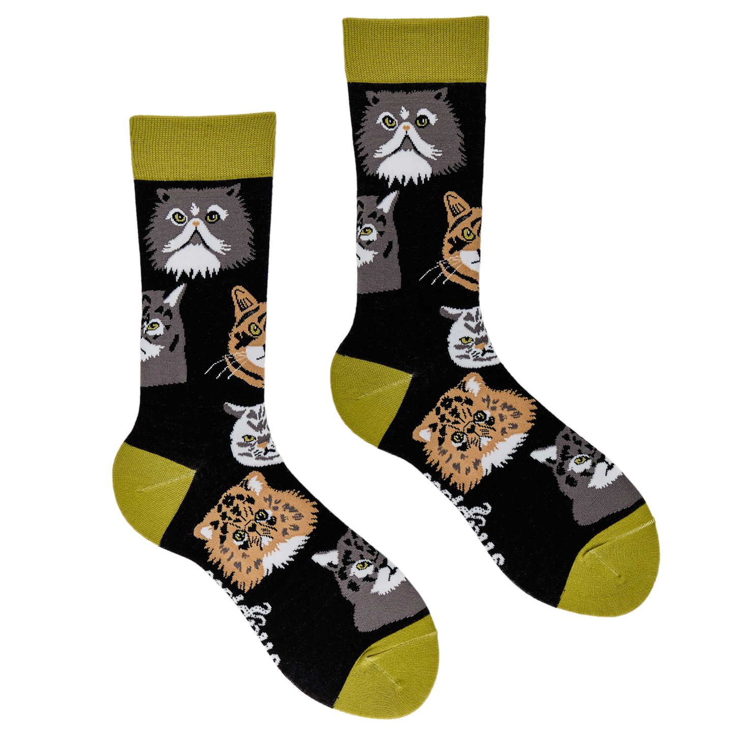Grumpy Cats Socks