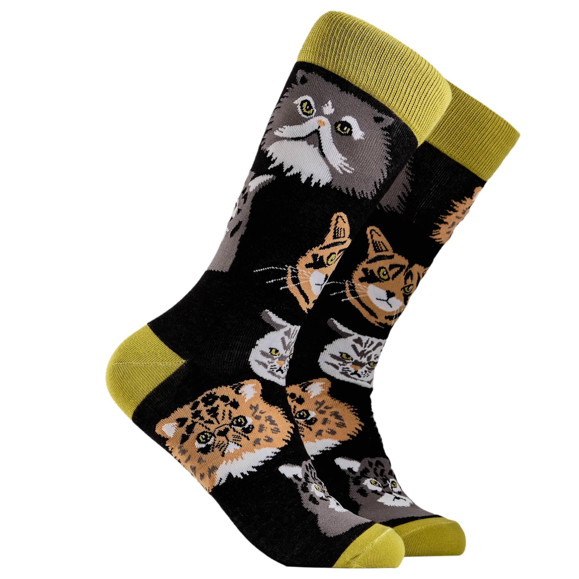 A pair of socks depicting various grumpy cats. Black legs, green cuff, heel and toe.