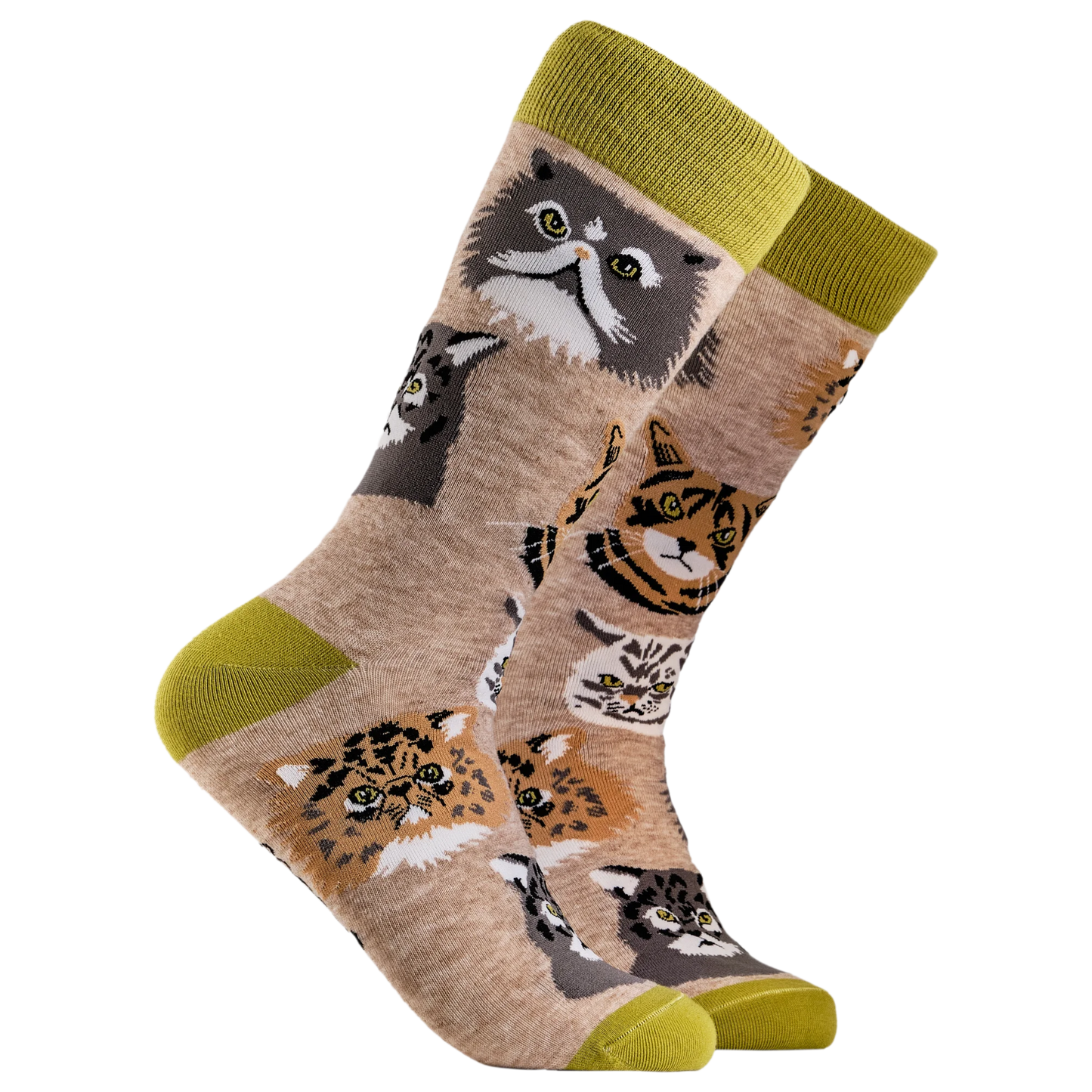 Grumpy Cats Socks. A pair of socks depicting various grumpy cats. Light brown legs, green cuff, heel and toe.
