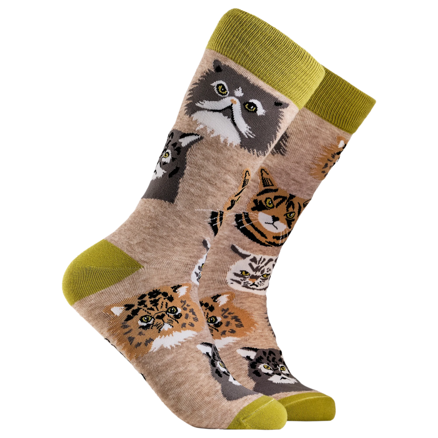 Grumpy Cats Socks