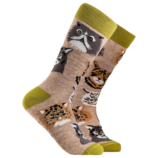 Grumpy Cats Socks. A pair of socks depicting various grumpy cats. Light brown legs, green cuff, heel and toe.