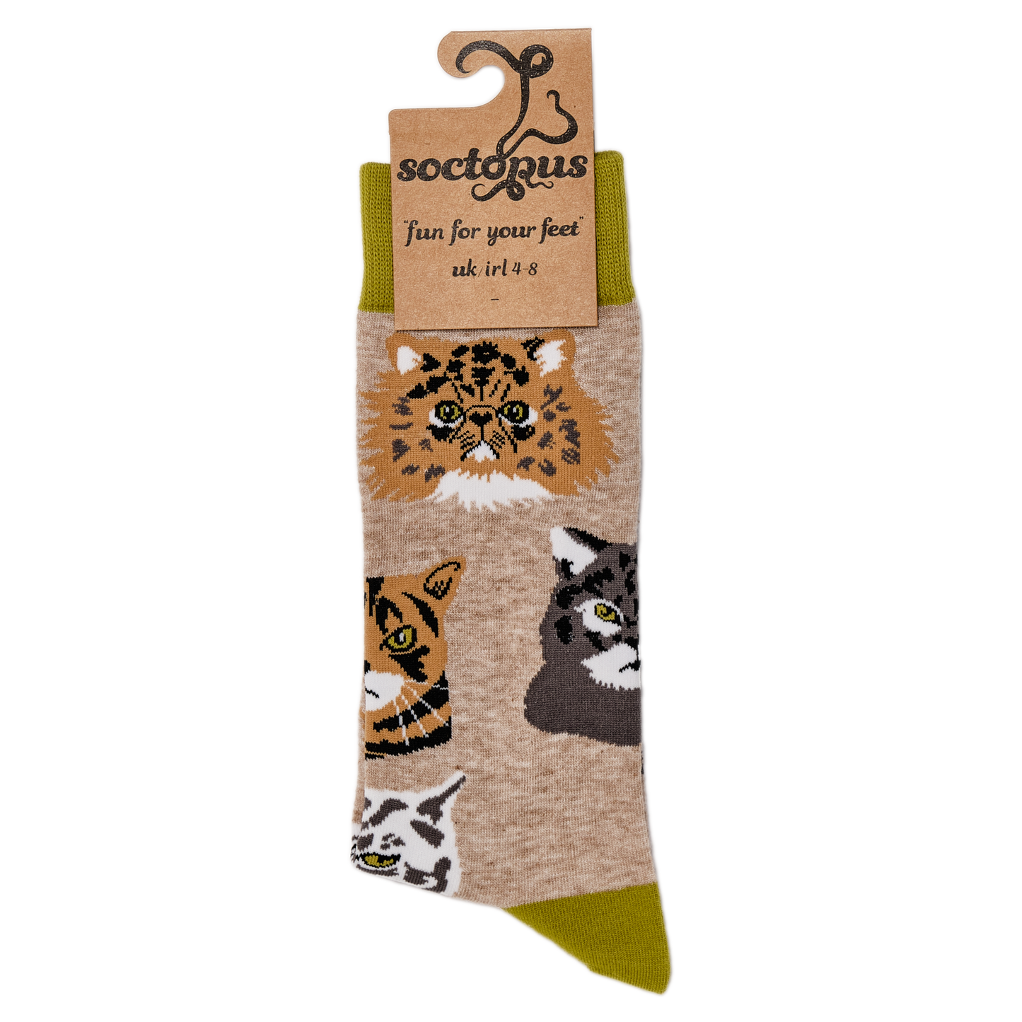 Grumpy Cats Socks