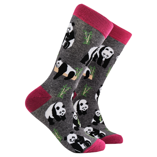 Panda Socks - Stu-Pandous. A pair of socks depicting pandas playing in the forest. Grey legs, red cuff, heel and toe.