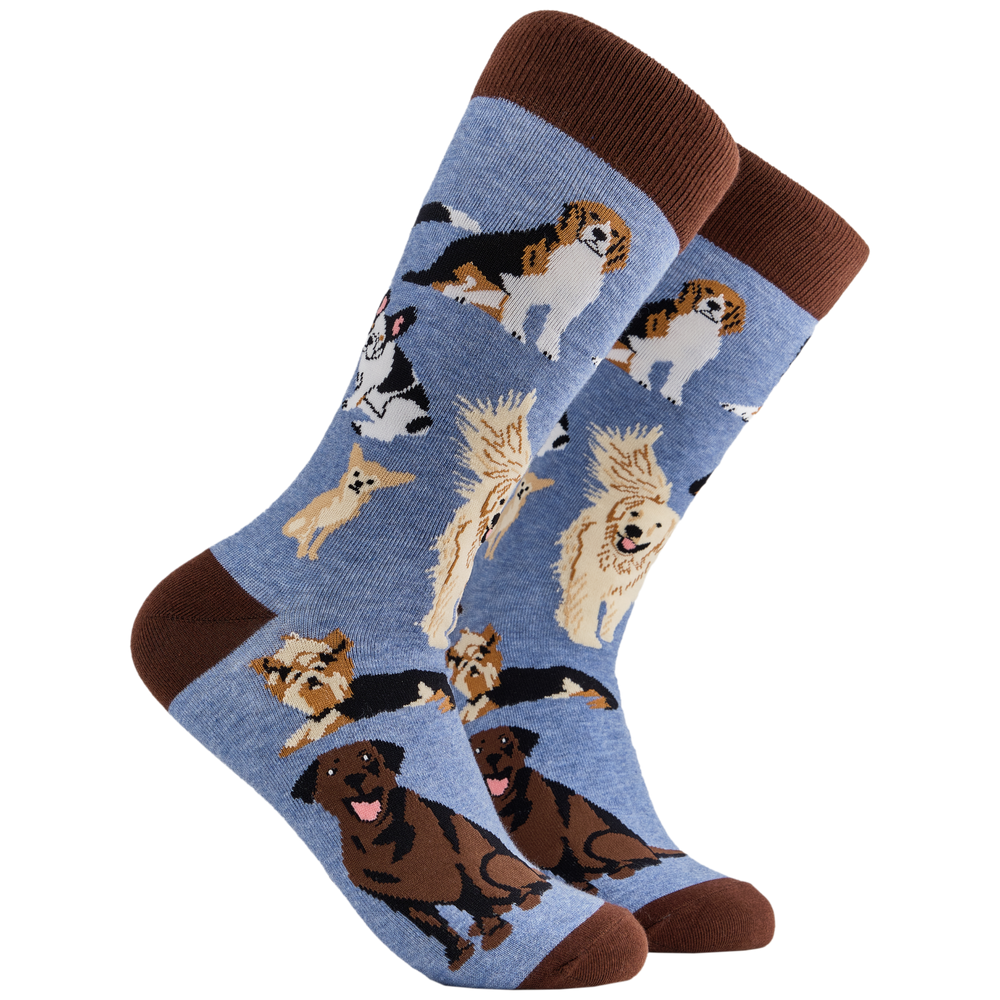 Dog Lover 2 Socks. A pair of socks depicting different breeds of dog. Blue legs, brown cuff, heel and toe.