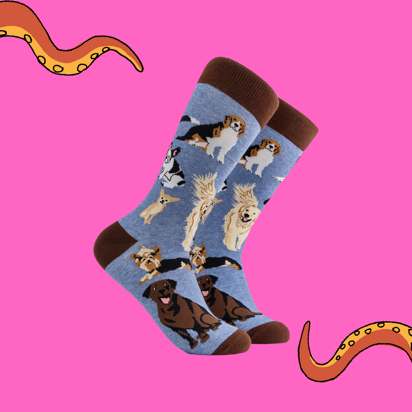 A pair of socks depicting different breeds of dog. Blue legs, brown cuff, heel and toe.