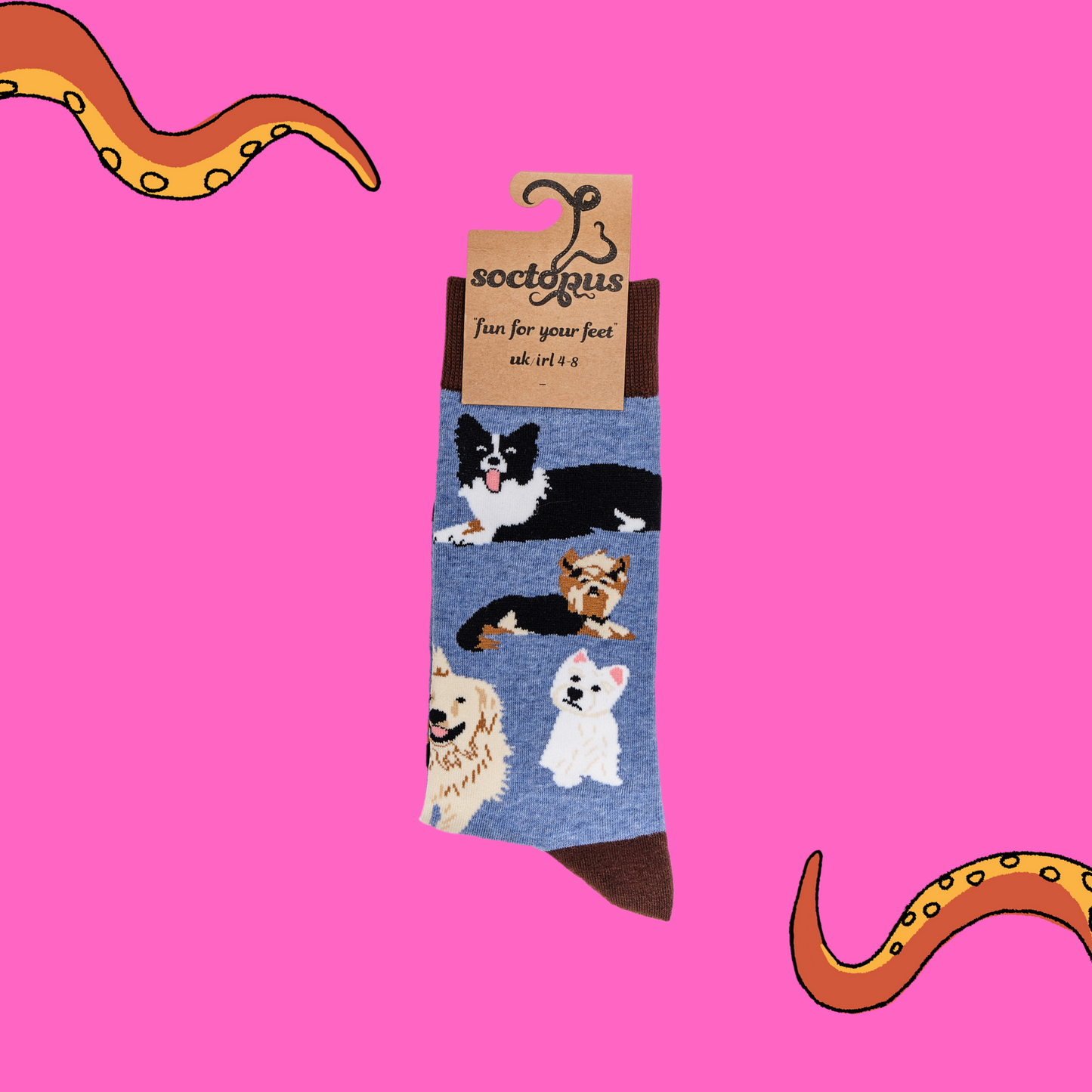 
                  
                    A pair of socks depicting different breeds of dog. Blue legs, brown cuff, heel and toe. In Soctopus Packaging.
                  
                