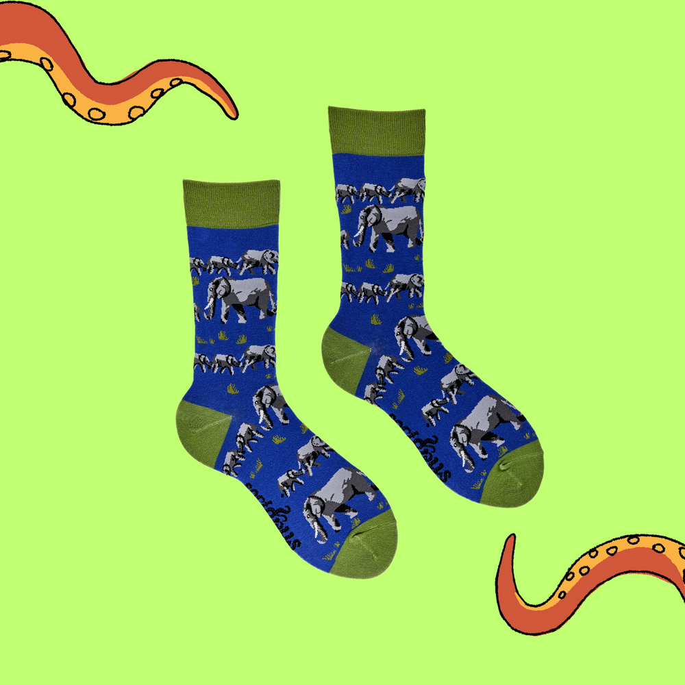 
                  
                    A pair of socks depicting elephants. Blue legs, green cuff, heel and toe.
                  
                