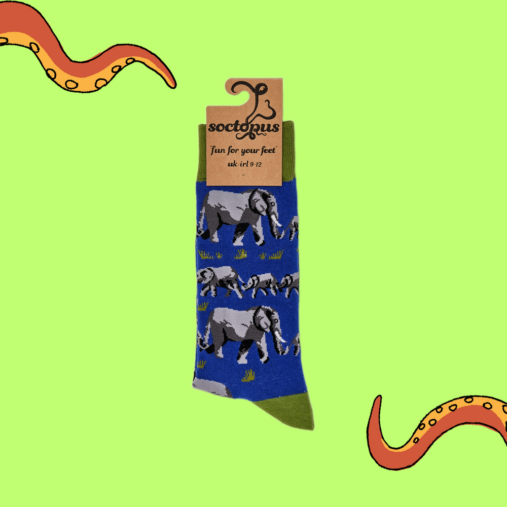 
                  
                    A pair of socks depicting elephants. Blue legs, green cuff, heel and toe. In Soctopus Packaging.
                  
                