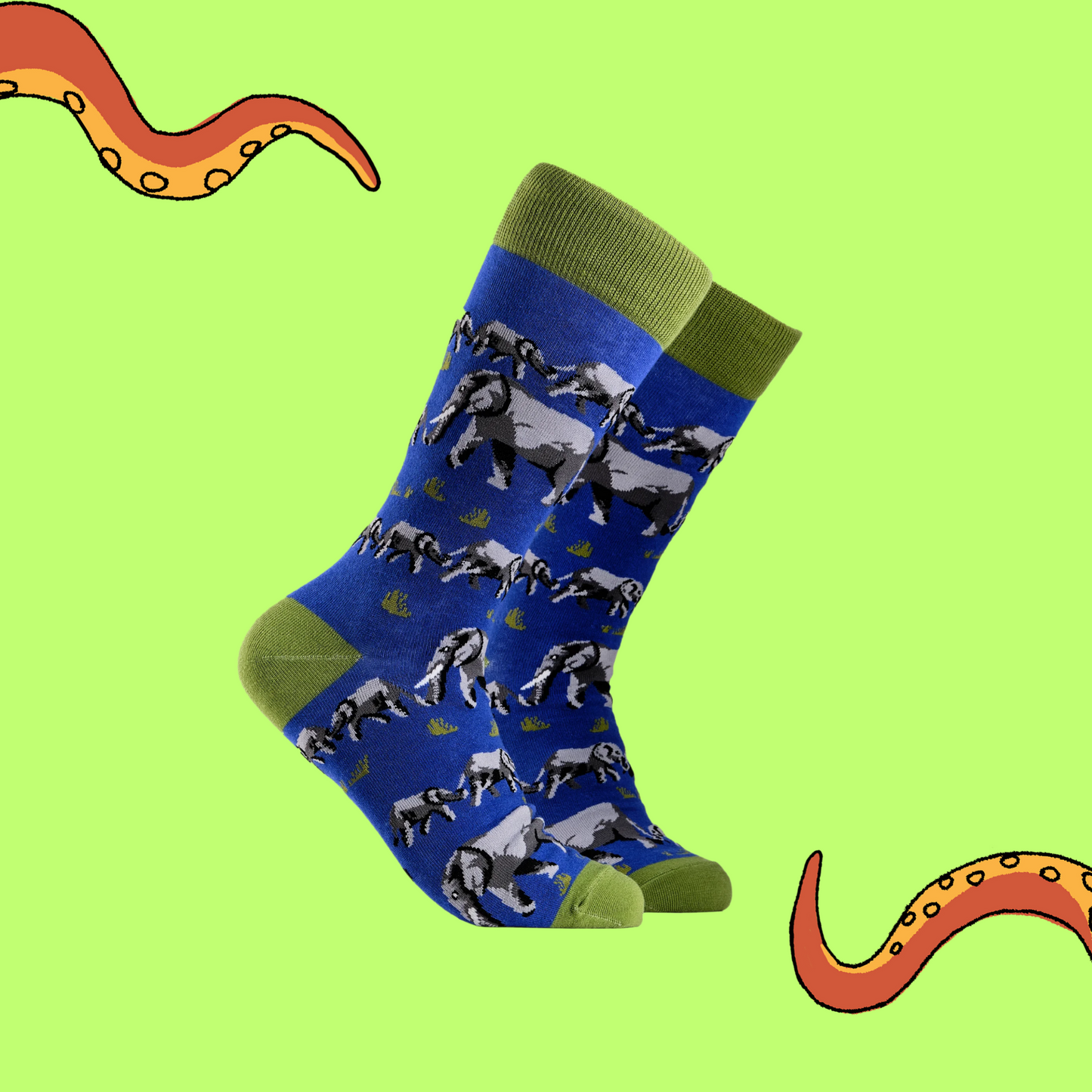 
                  
                    A pair of socks depicting elephants. Blue legs, green cuff, heel and toe.
                  
                