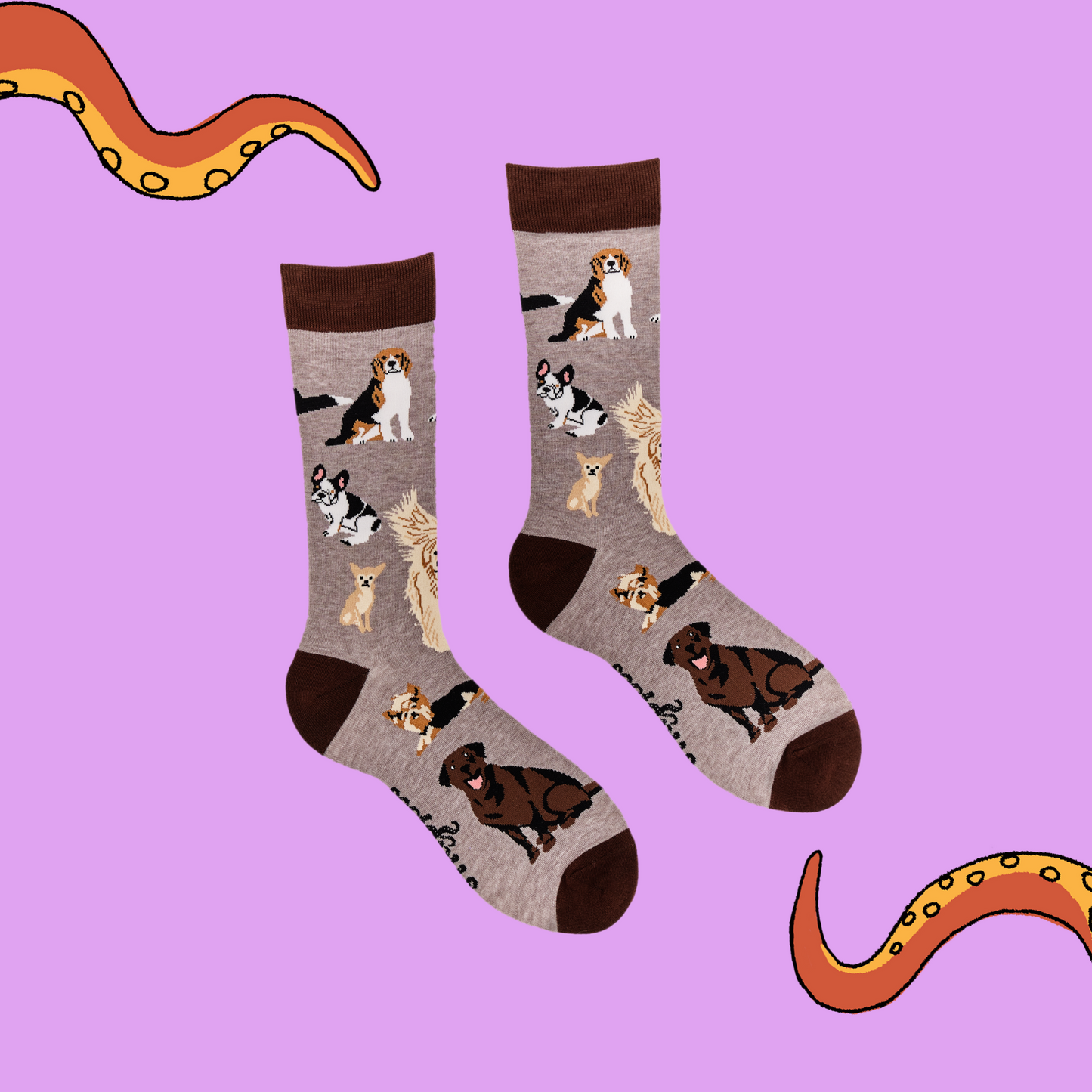 
                  
                    A pair of socks depicting different breeds of dog. Grey legs, brown cuff, heel and toe.
                  
                
