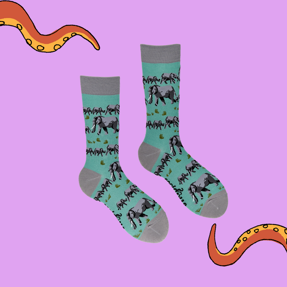 
                  
                    A pair of socks depicting elephants. Turquoise legs, grey cuff, heel and toe.
                  
                