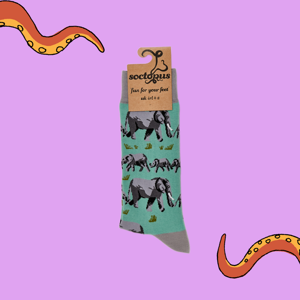 
                  
                    A pair of socks depicting elephants. Turquoise legs, grey cuff, heel and toe. In Soctopus Packaging.
                  
                