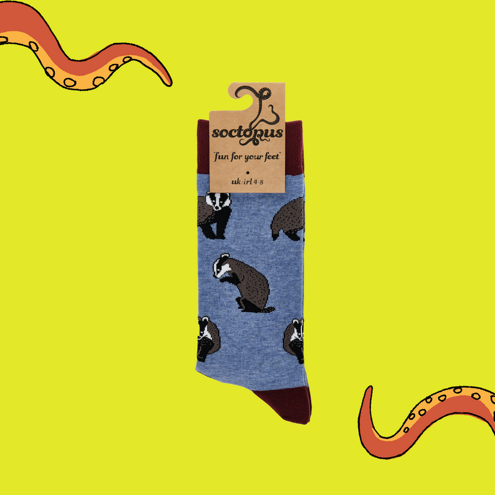 
                  
                    A pair of socks depicting Badgers. Blue legs, wine red cuff, heel and toe. In Soctopus Packaging.
                  
                