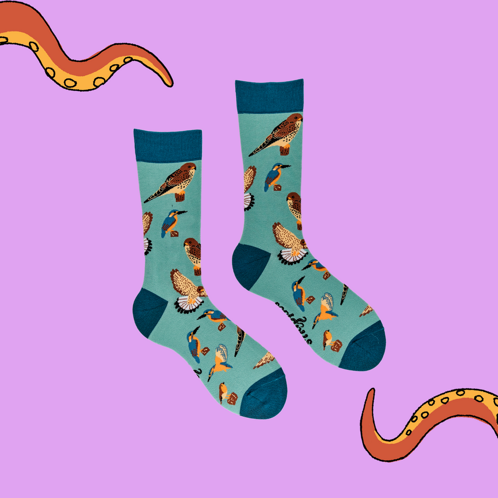 
                      
                        A pair of socks depicting British native birds. Teal legs, turquoise cuff, heel and toe.
                      
                    