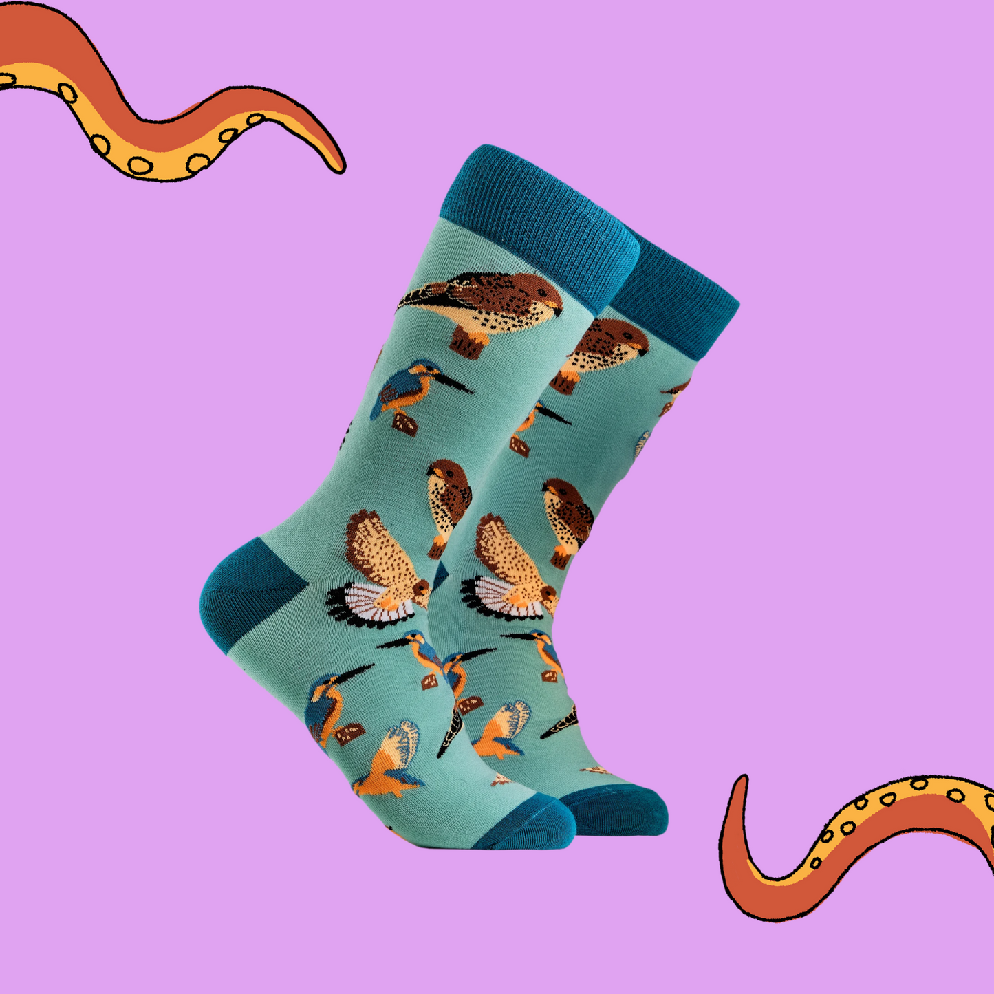 Bird Lover Socks. A pair of socks depicting British native birds. Teal legs, turquoise cuff, heel and toe.