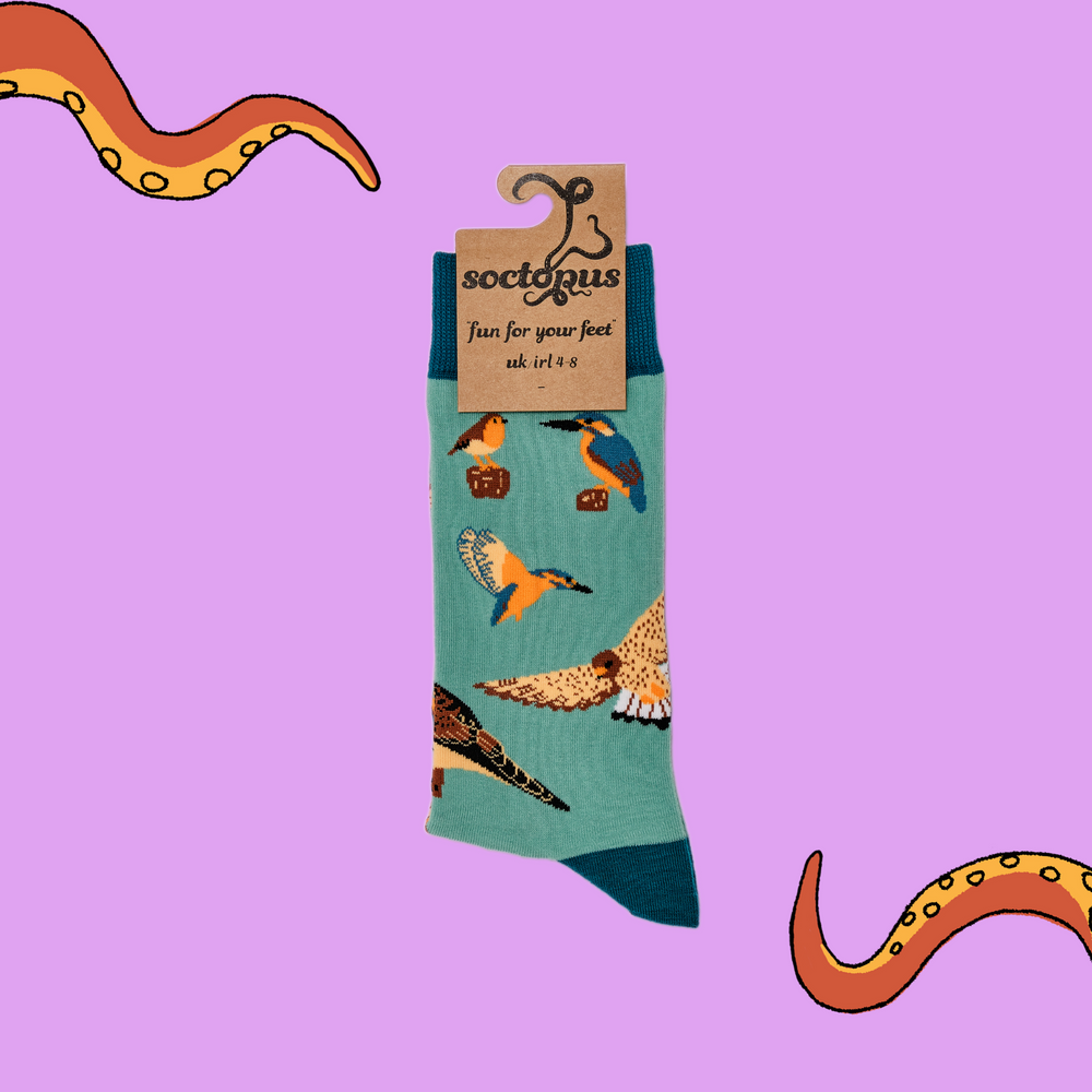 
                      
                        A pair of socks depicting British native birds. Teal legs, turquoise cuff, heel and toe. In Soctopus Packaging.
                      
                    