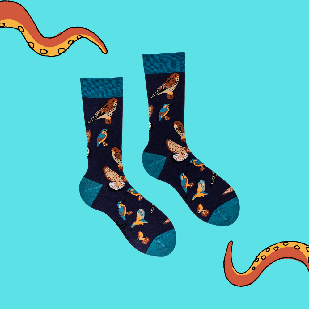 
                      
                        A pair of socks depicting British native birds. Purple legs, turquoise cuff, heel and toe.
                      
                    