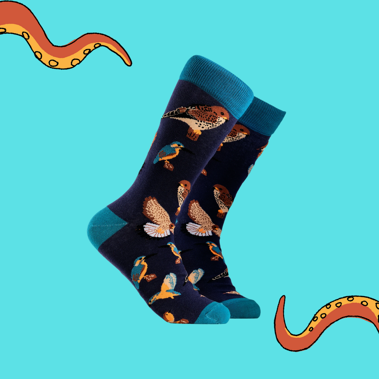 A pair of socks depicting British native birds. Purple legs, turquoise cuff, heel and toe.