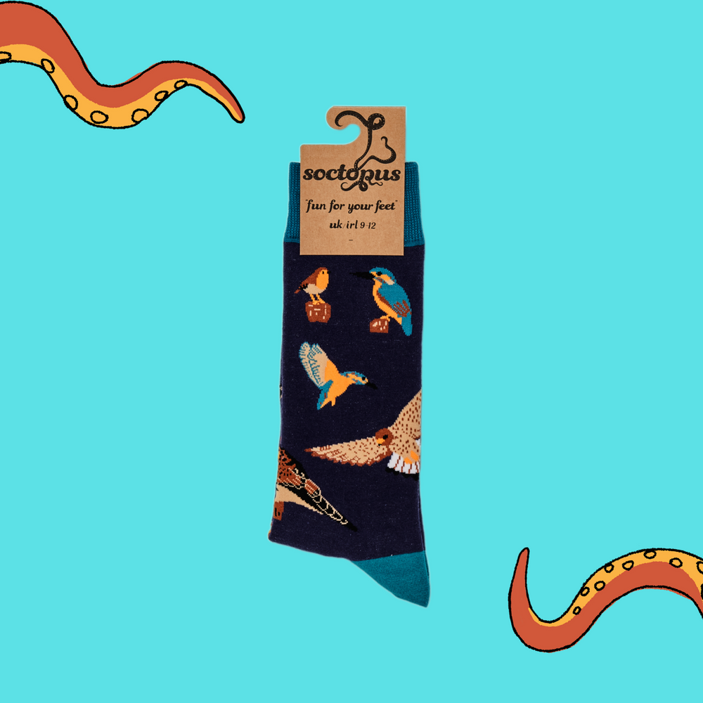 
                      
                        A pair of socks depicting British native birds. Purple legs, turquoise cuff, heel and toe. In Soctopus Packaging.
                      
                    