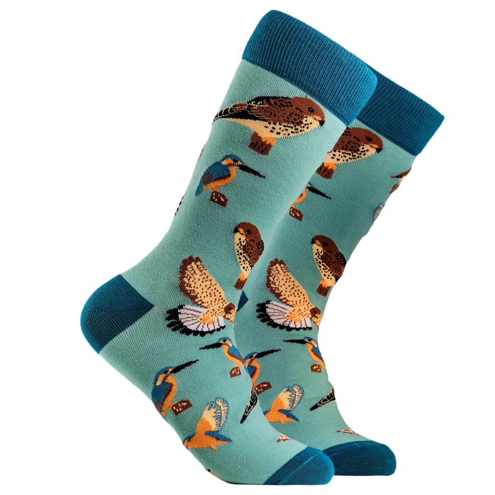 Bird Lover Socks. A pair of socks depicting British native birds. Teal legs, turquoise cuff, heel and toe.