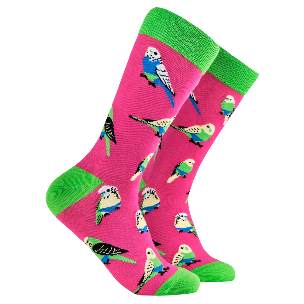 Bird Socks - Budgie Smugglers. A pair of socks featuring budgies wearing budgie smugglers. Bright pink legs, bright green heel, toe and cuff. 