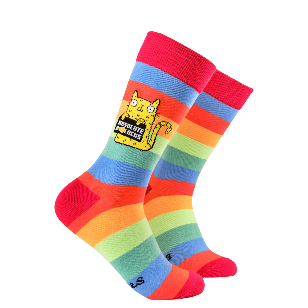 Absolute Bollocks Socks - Soctopus x Katie Abey. A pair of socks depicting a cute cat holding a sweary sign. Rainbow striped legs. 