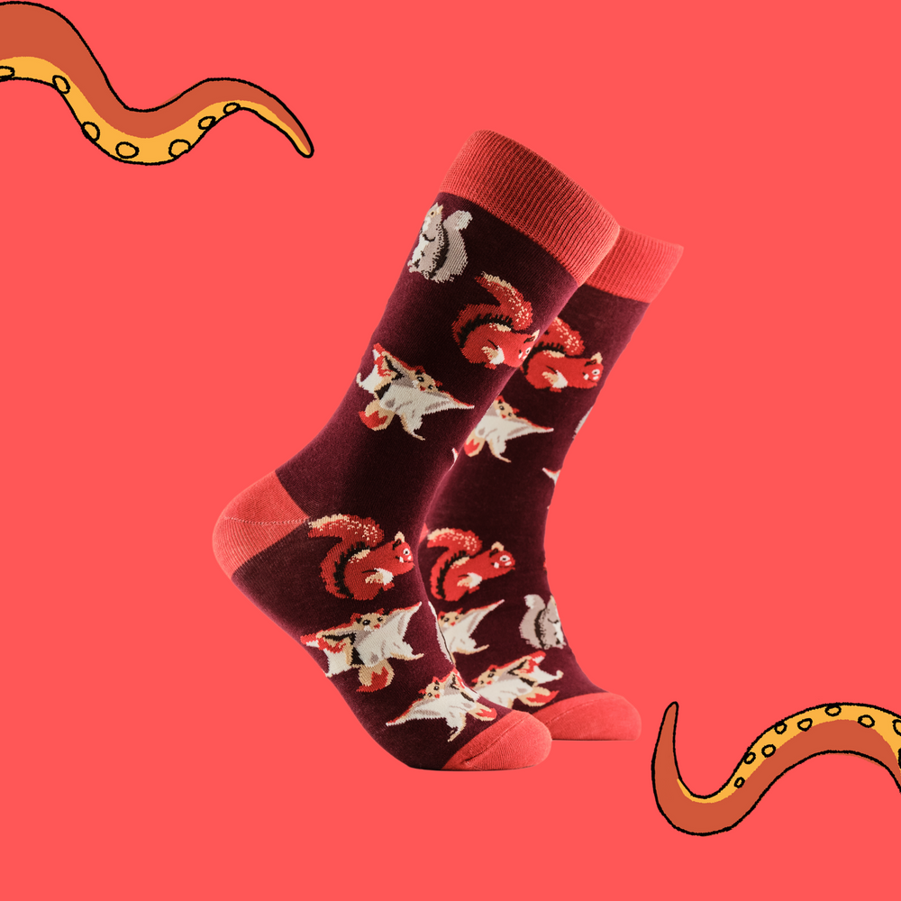 A pair of socks depicting different kinds of squirrel. Dark red legs, red cuff, heel and toe.